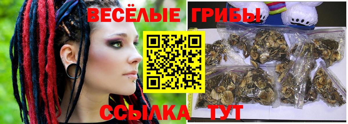 Галлюциногенные грибы GOLDEN TEACHER Ржев